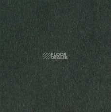 Ковровая плитка Interface Superflor 9165 Pineforest фото 1 | FLOORDEALER